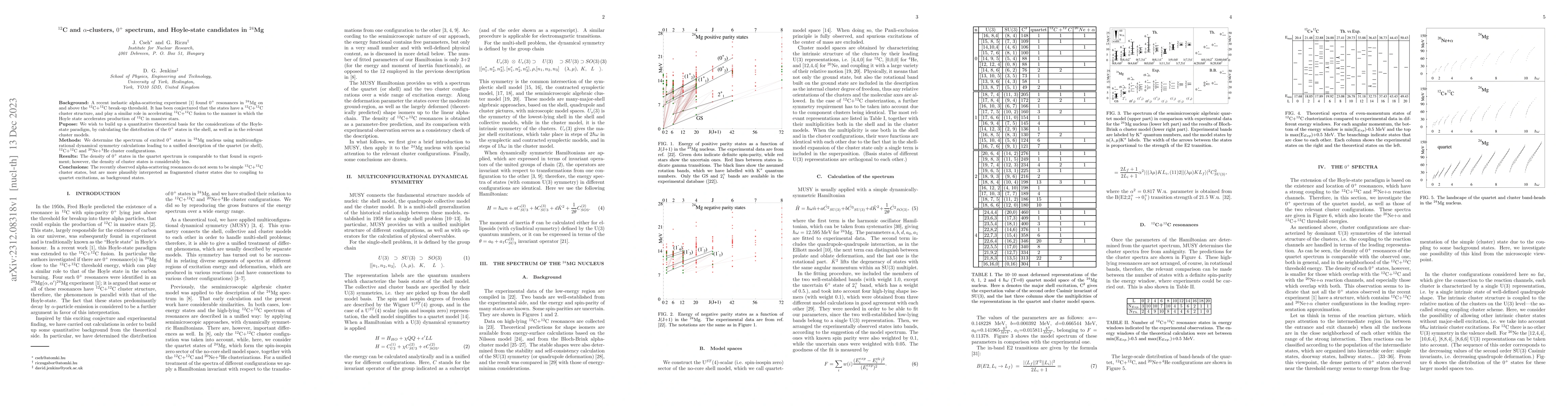 Thumbnail for $^{12}$C and $\alpha$-clusters, $0^+$ spectrum, and Hoyle-state
  candidates in $^{24}$Mg