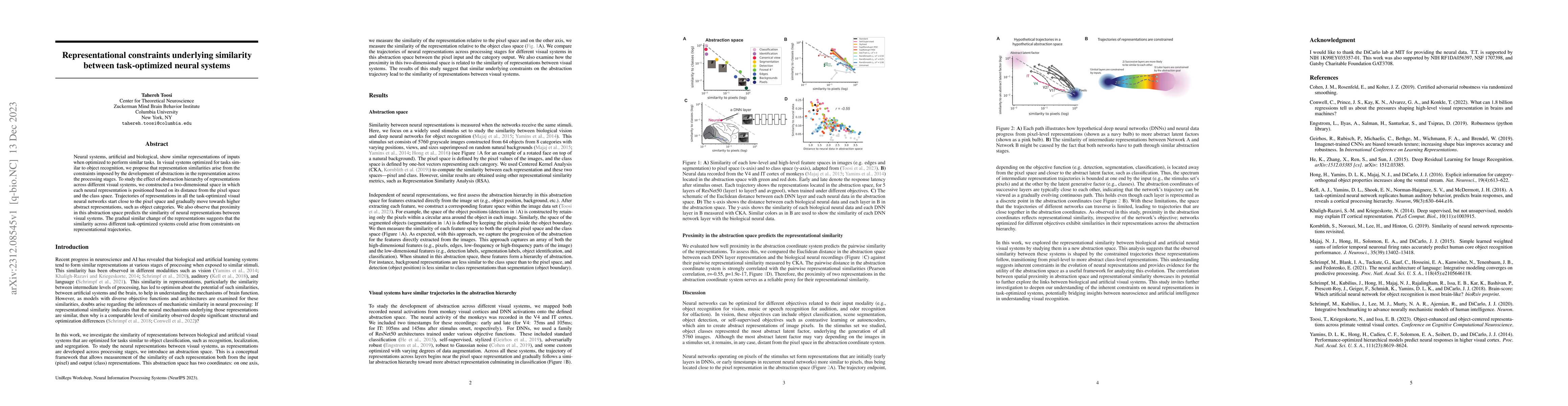 Thumbnail for Representational constraints underlying similarity between
  task-optimized neural systems