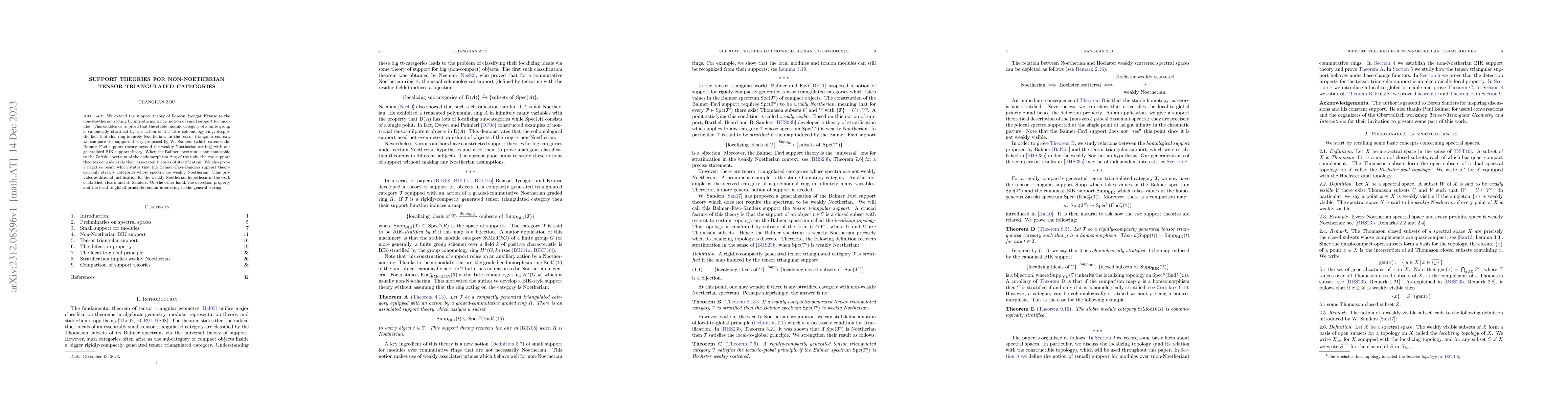 Thumbnail for Support theories for non-Noetherian tensor triangulated categories