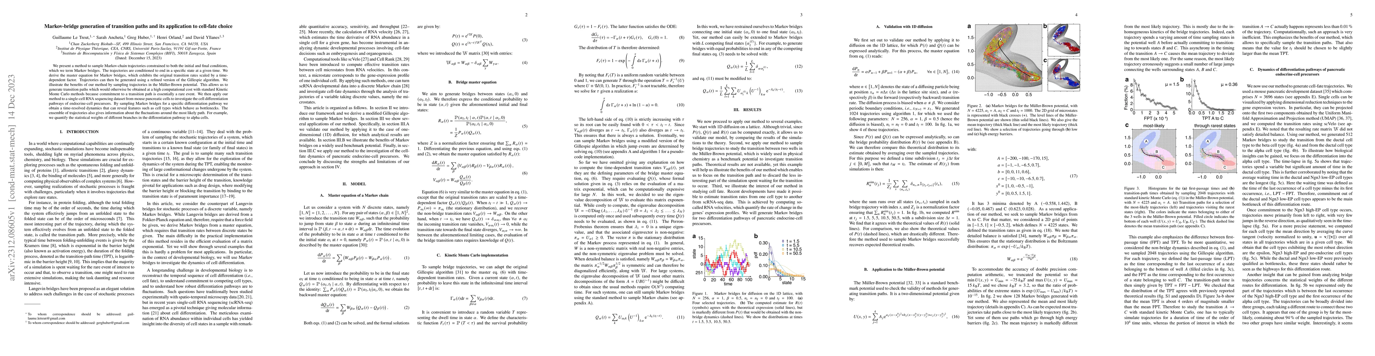 Thumbnail for Markov-bridge generation of transition paths and its application to
  cell-fate choice