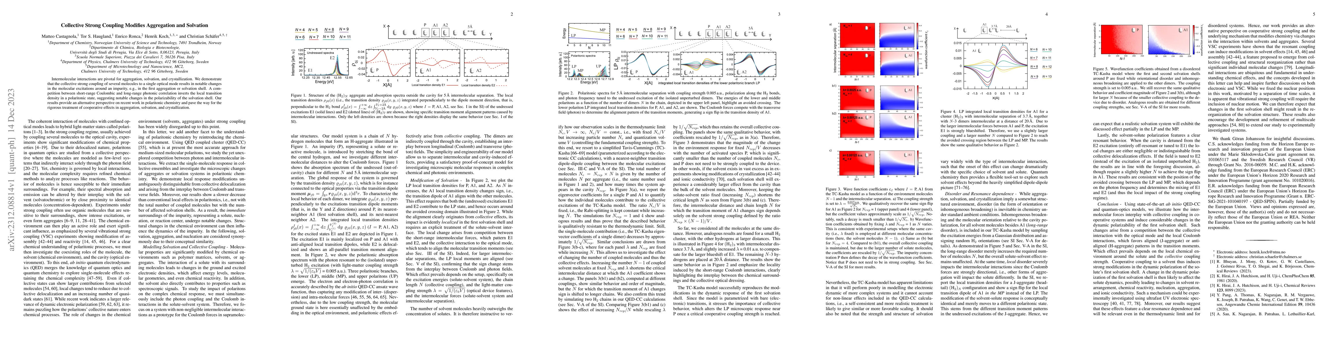 Thumbnail for Collective Strong Coupling Modifies Aggregation and Solvation