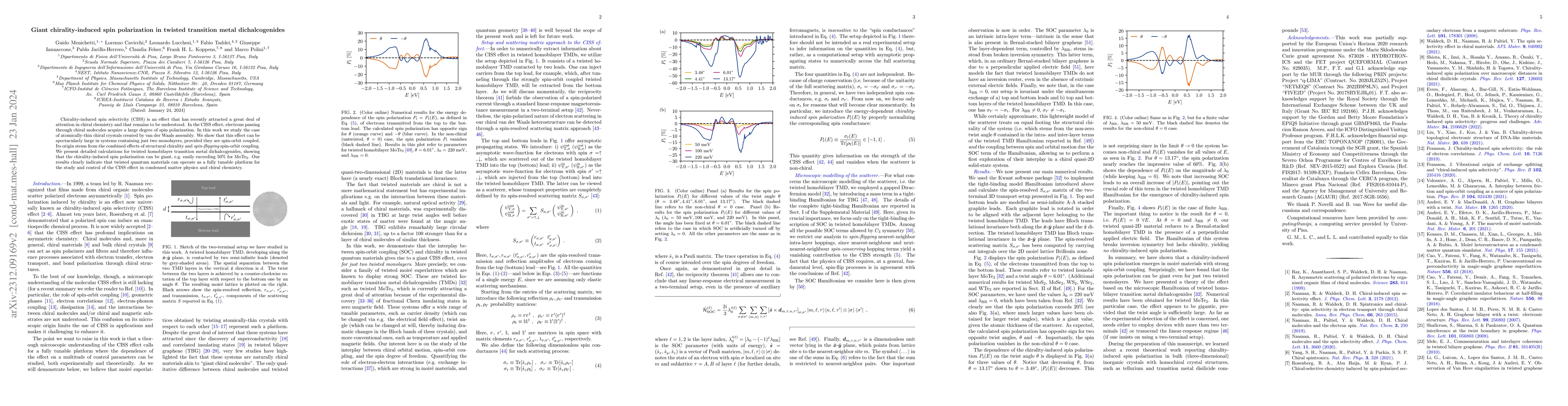 Thumbnail for Giant chirality-induced spin polarization in twisted transition metal
  dichalcogenides