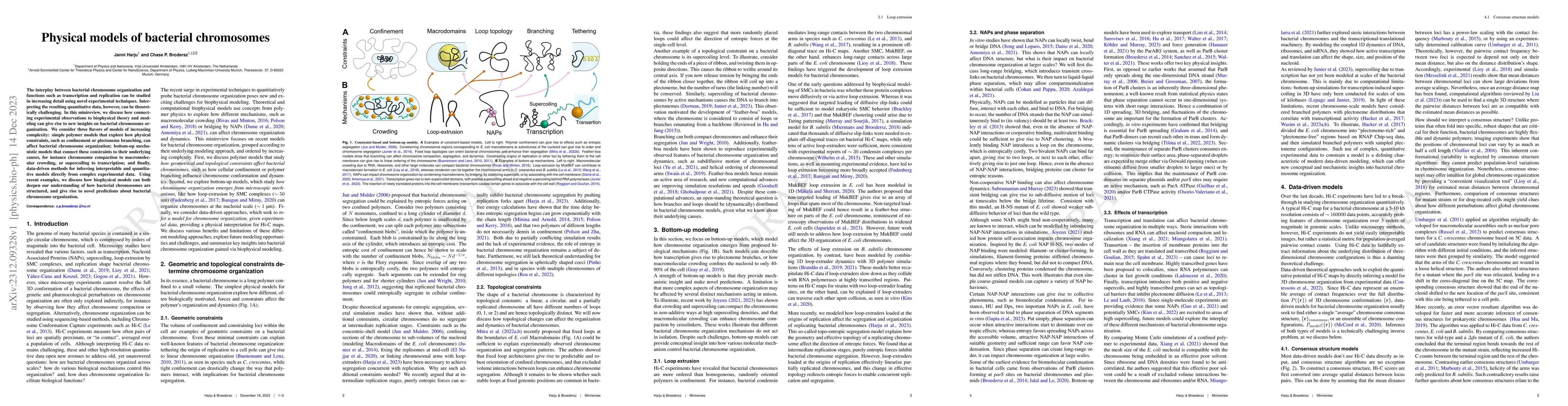 Thumbnail for Physical models of bacterial chromosomes