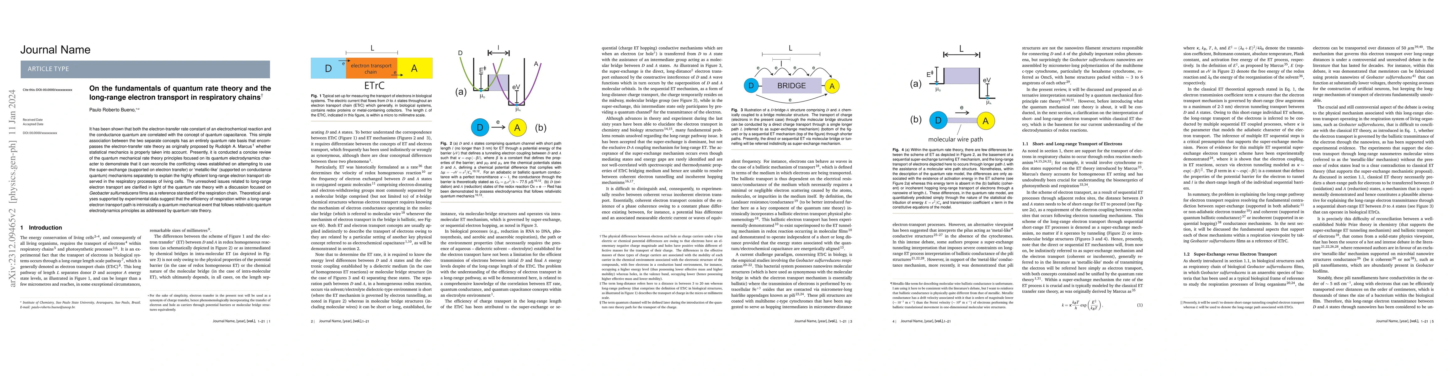 Thumbnail for On the Fundamentals of Quantum Rate Theory and the Long-range Electron
  Transport in Respiratory Chains