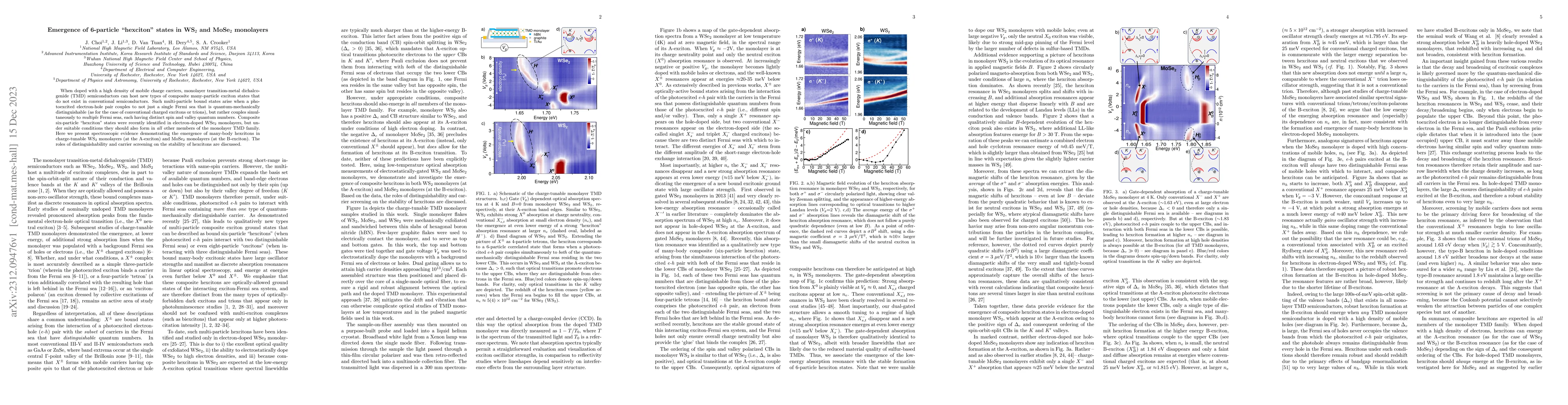 Thumbnail for Emergence of 6-particle "hexciton'' states in WS$_2$ and MoSe$_2$
  monolayers