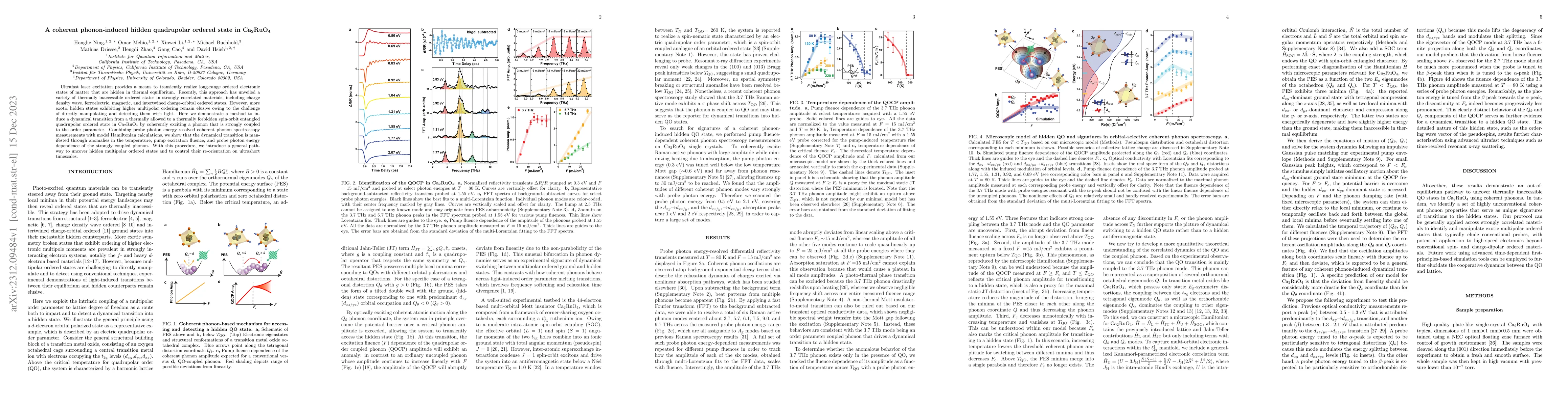 Thumbnail for A coherent phonon-induced hidden quadrupolar ordered state in
  Ca$_2$RuO$_4$