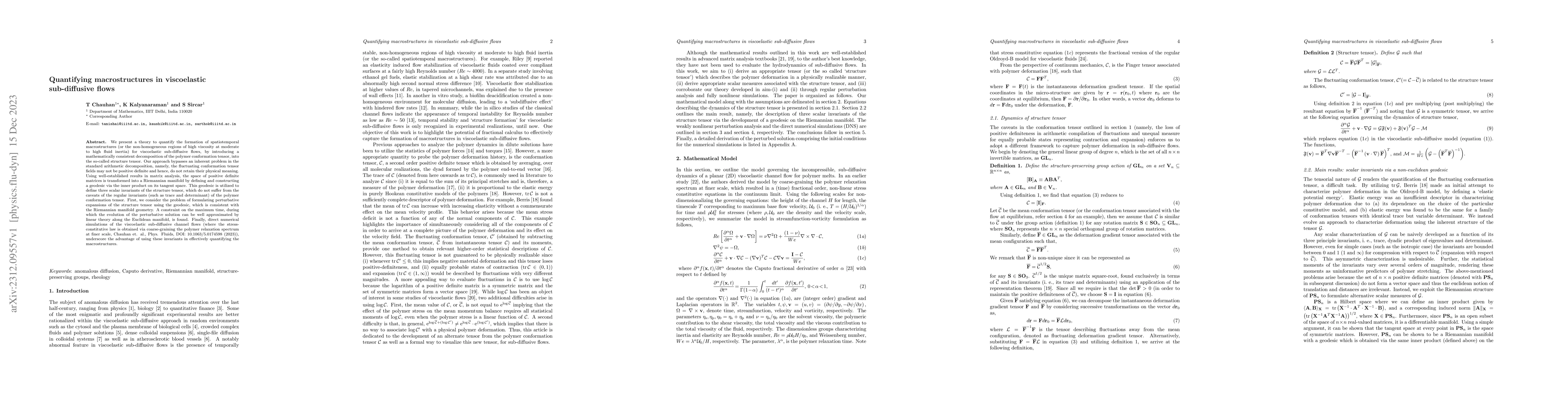 Thumbnail for Quantifying macrostructures in viscoelastic sub-diffusive flows