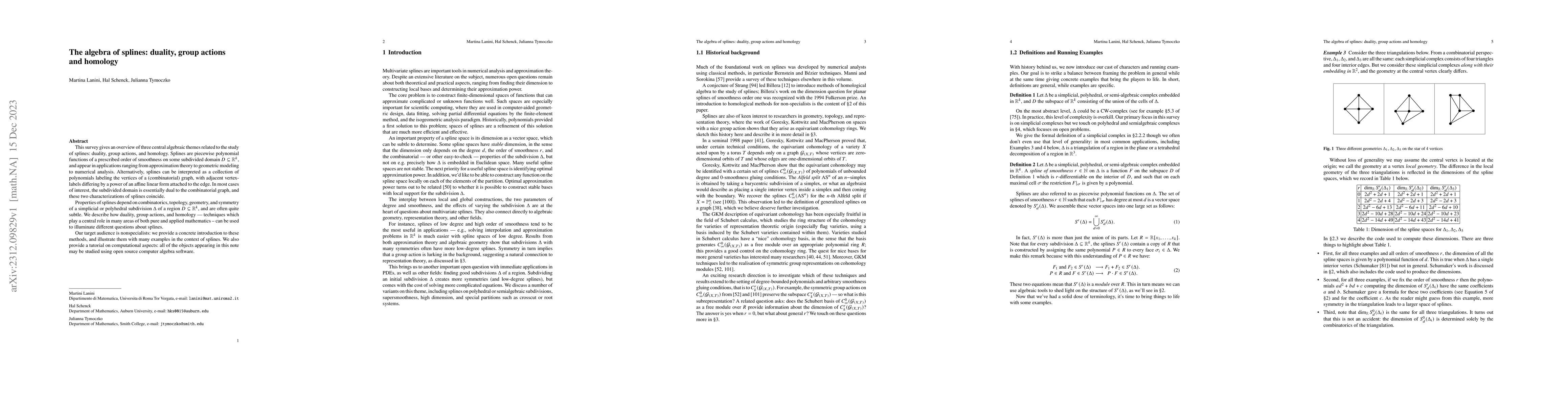 Thumbnail for The algebra of splines: duality, group actions and homology