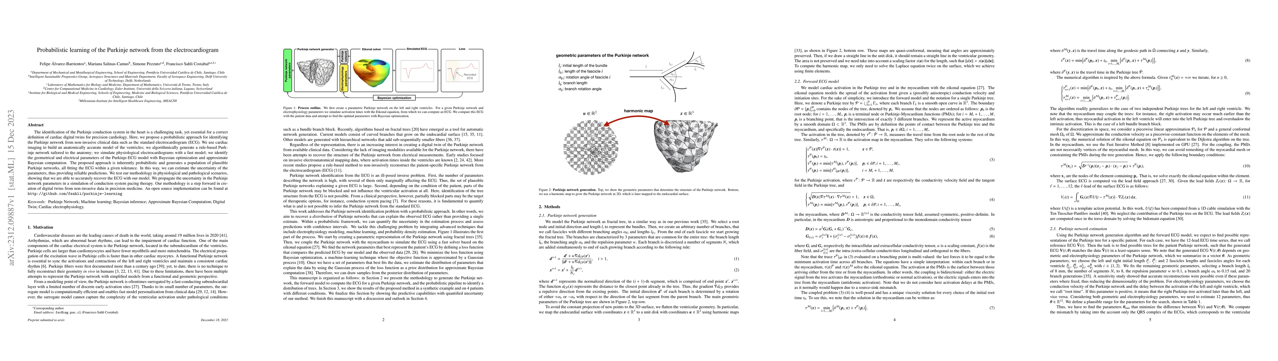 Thumbnail for Probabilistic learning of the Purkinje network from the
  electrocardiogram