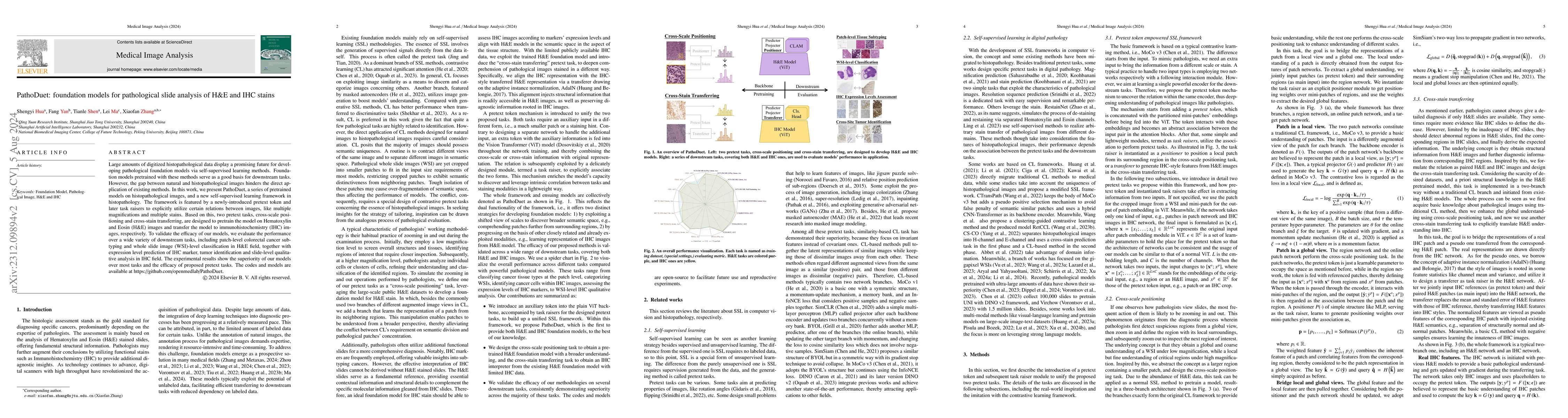 Thumbnail for PathoDuet: Foundation Models for Pathological Slide Analysis of H&E and
  IHC Stains