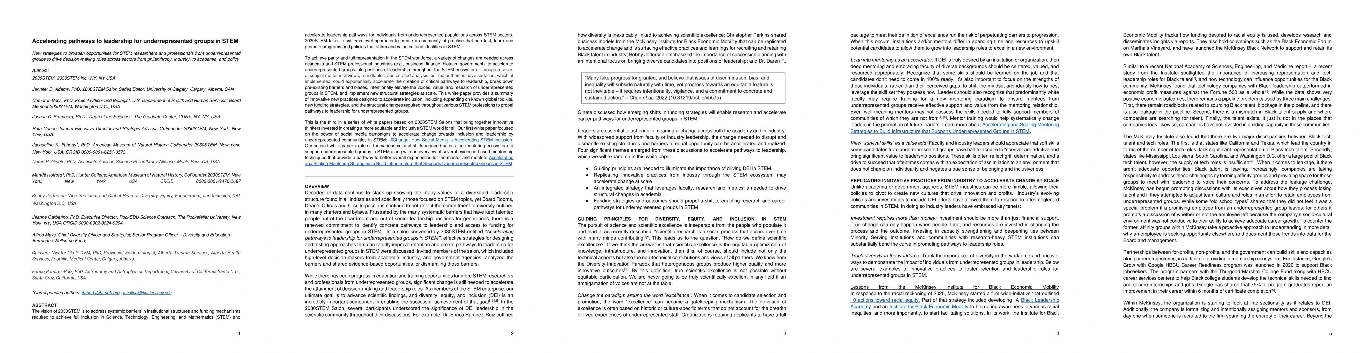 Thumbnail for Accelerating pathways to leadership for underrepresented groups in STEM