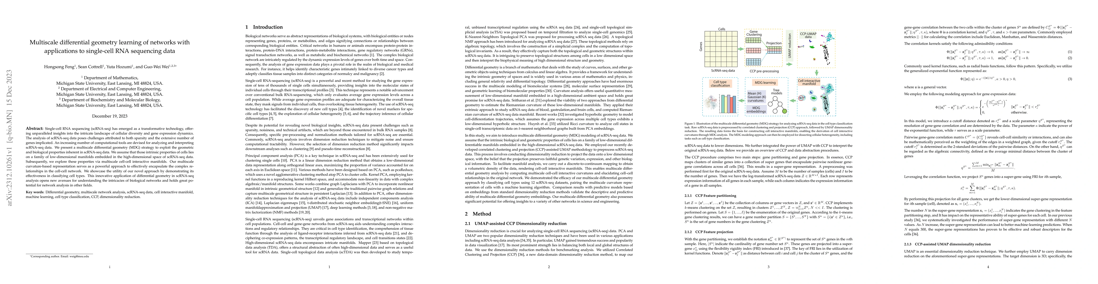 Thumbnail for Multiscale differential geometry learning of networks with applications
  to single-cell RNA sequencing data