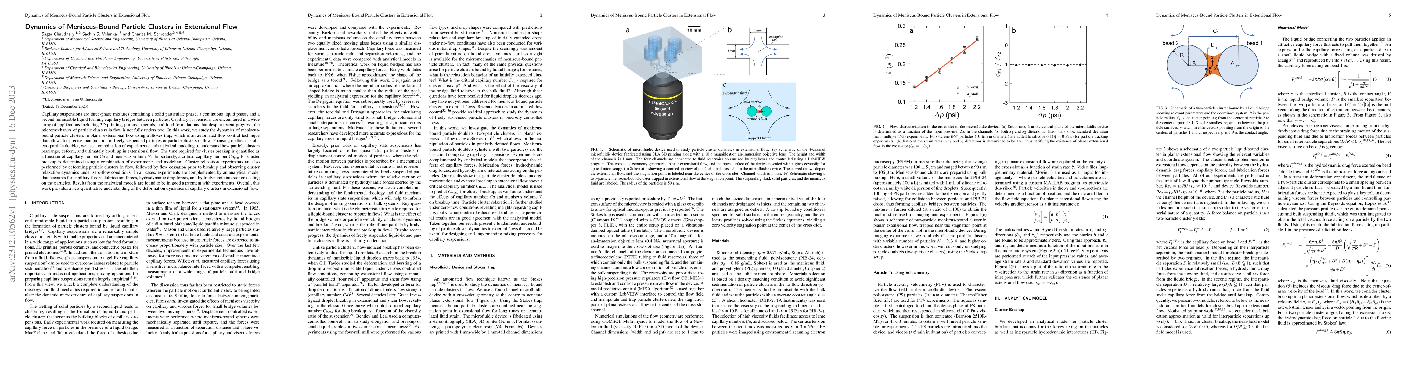 Thumbnail for Dynamics of Meniscus-Bound Particle Clusters in Extensional Flow