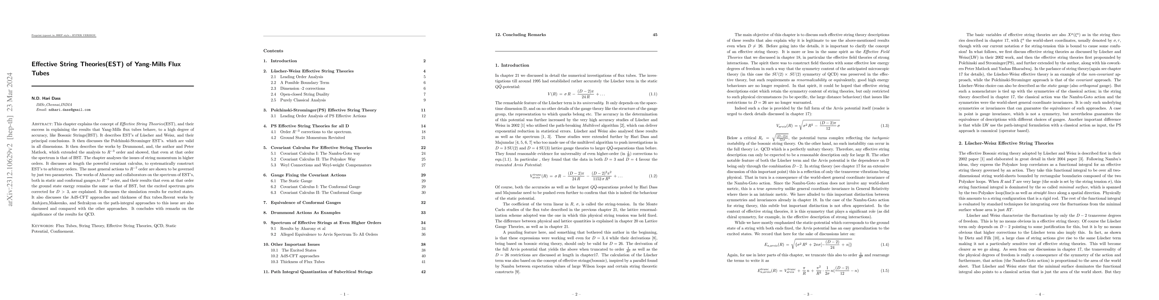Thumbnail for Effective String Theories (EST) of Yang-Mills Flux Tubes