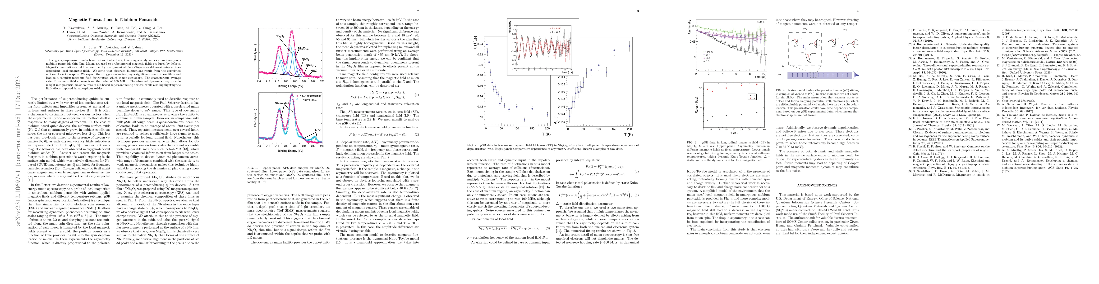 Thumbnail for Magnetic Fluctuations in Niobium Pentoxide