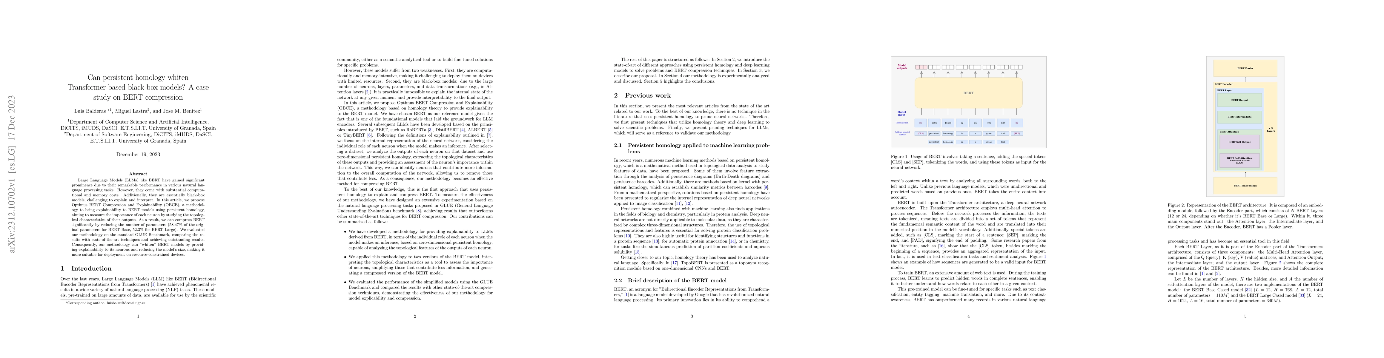 Thumbnail for Can persistent homology whiten Transformer-based black-box models? A
  case study on BERT compression