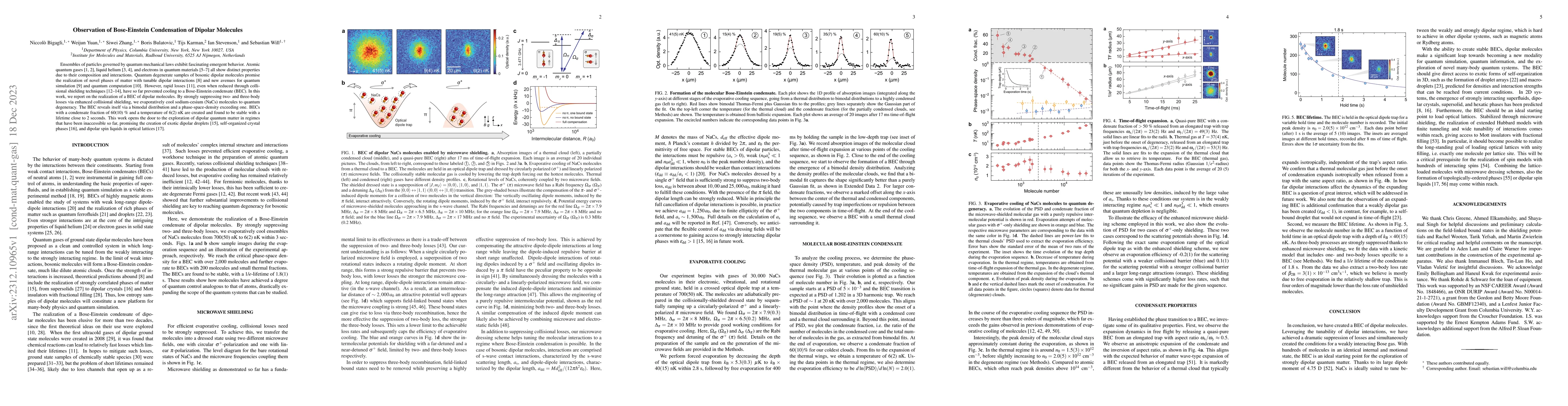 Thumbnail for Observation of Bose-Einstein Condensation of Dipolar Molecules
