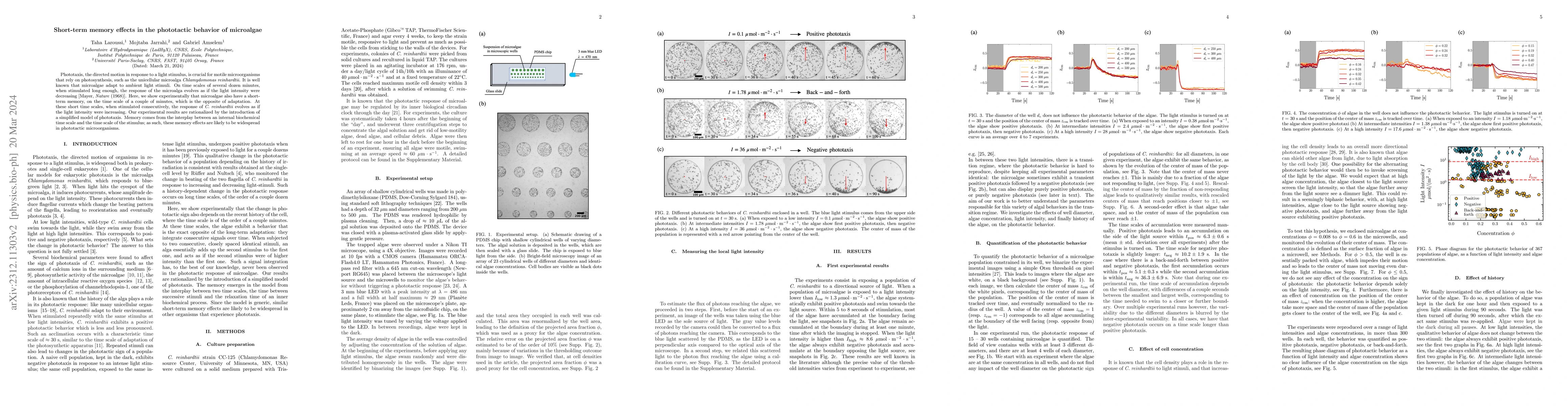 Thumbnail for Short-term memory effects in the phototactic behavior of microalgae
