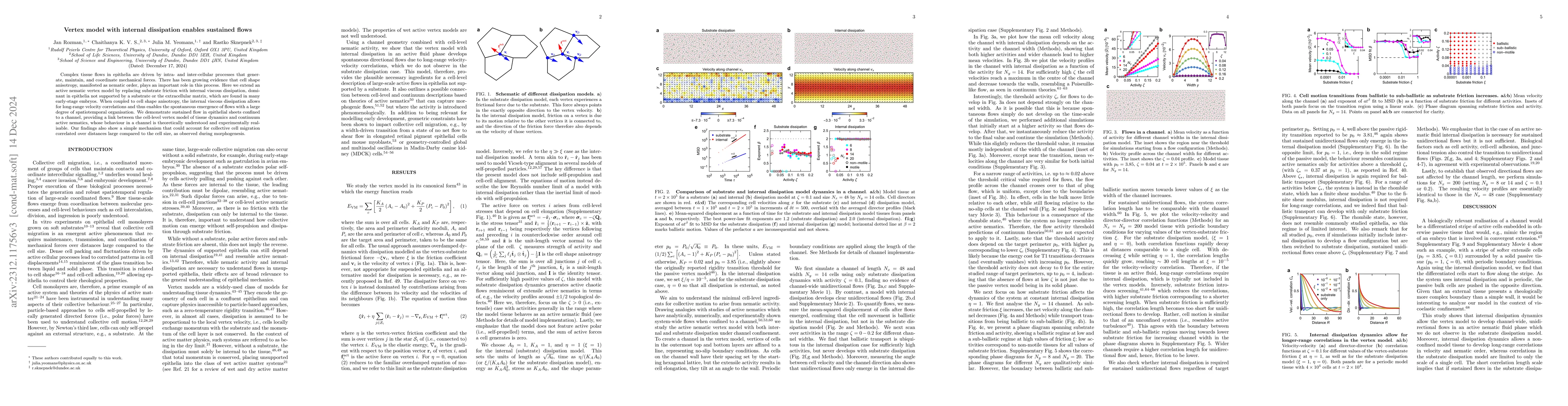 Thumbnail for From Dry to Wet Vertex Model Dynamics: Generating Sustained Flows