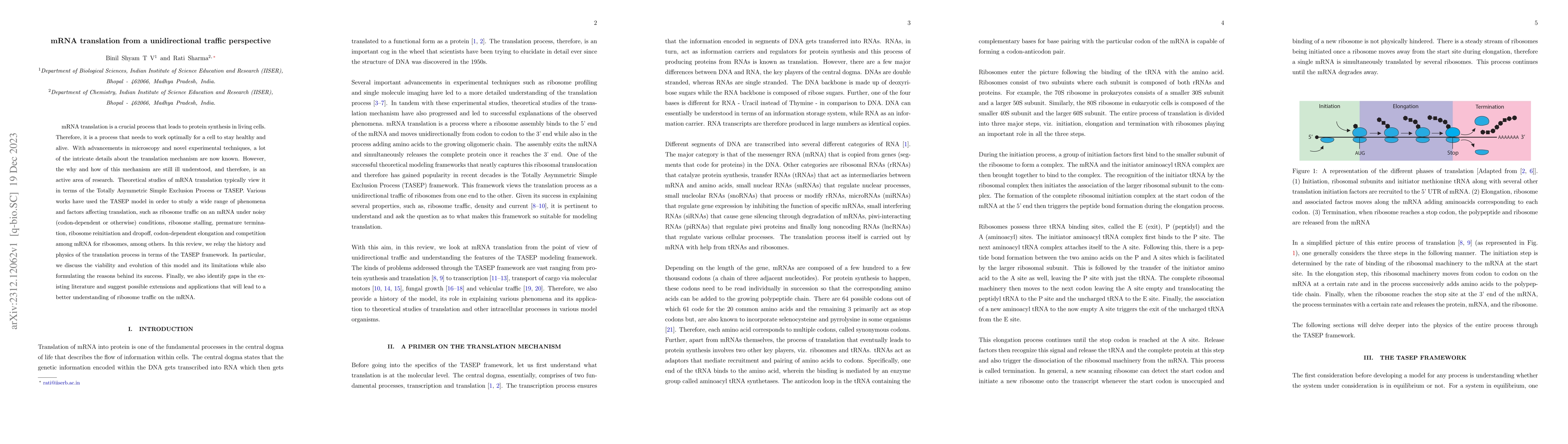 Thumbnail for mRNA translation from a unidirectional traffic perspective