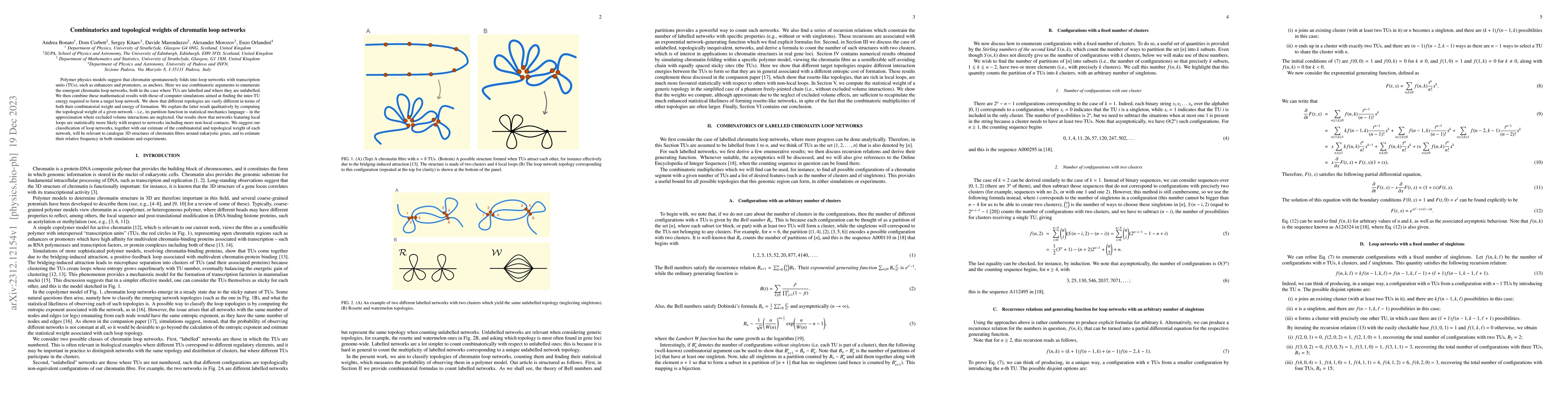 Thumbnail for Combinatorics and topological weights of chromatin loop networks