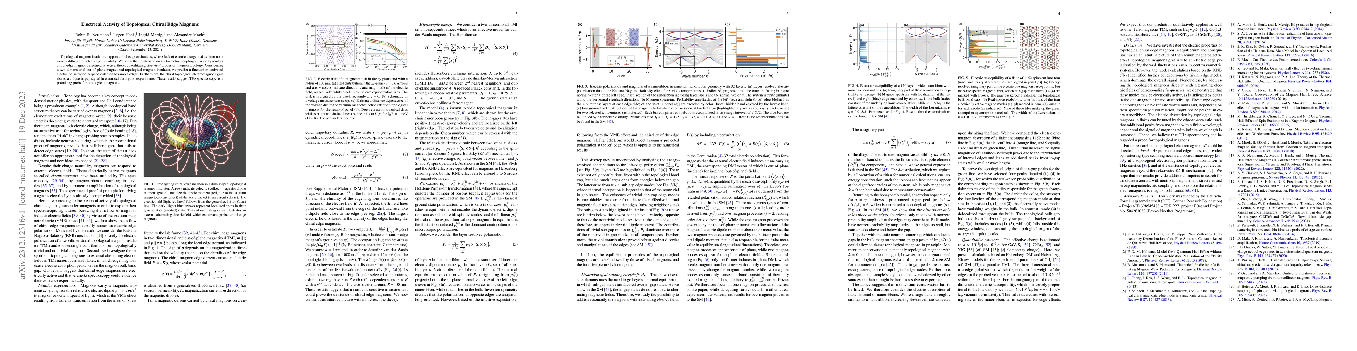 Thumbnail for Electrical Activity of Topological Chiral Edge Magnons