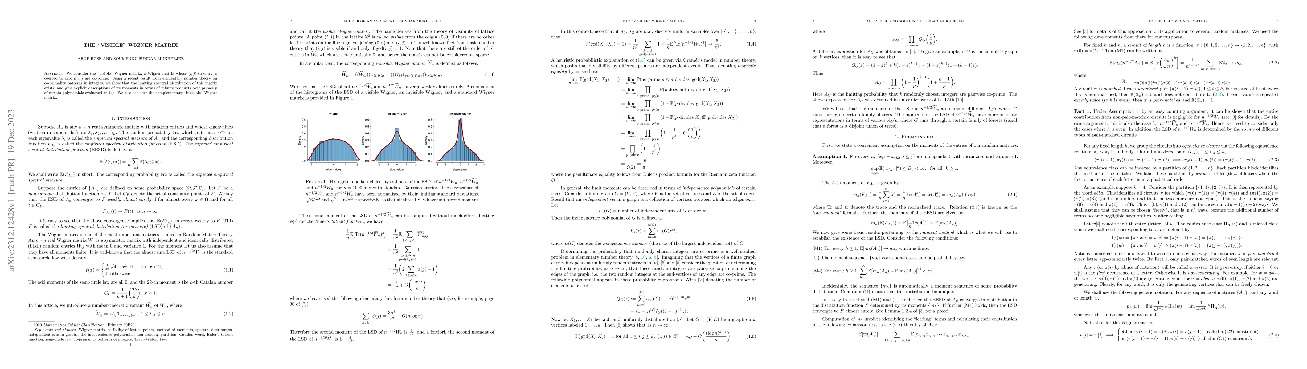 Thumbnail for The "visible" Wigner matrix