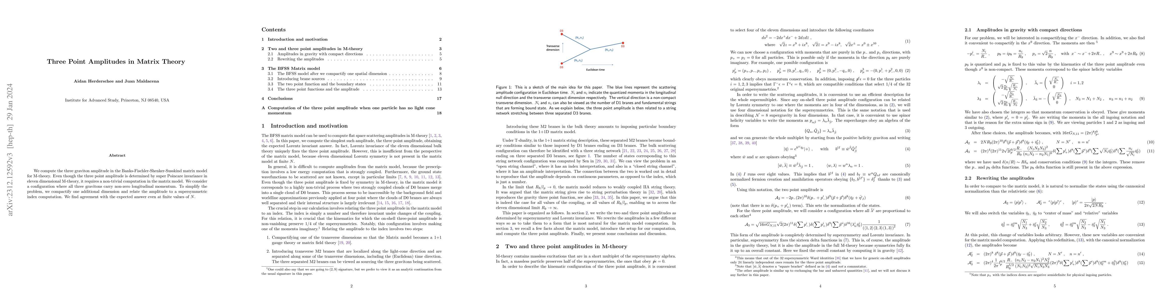 Thumbnail for Three Point Amplitudes in Matrix Theory