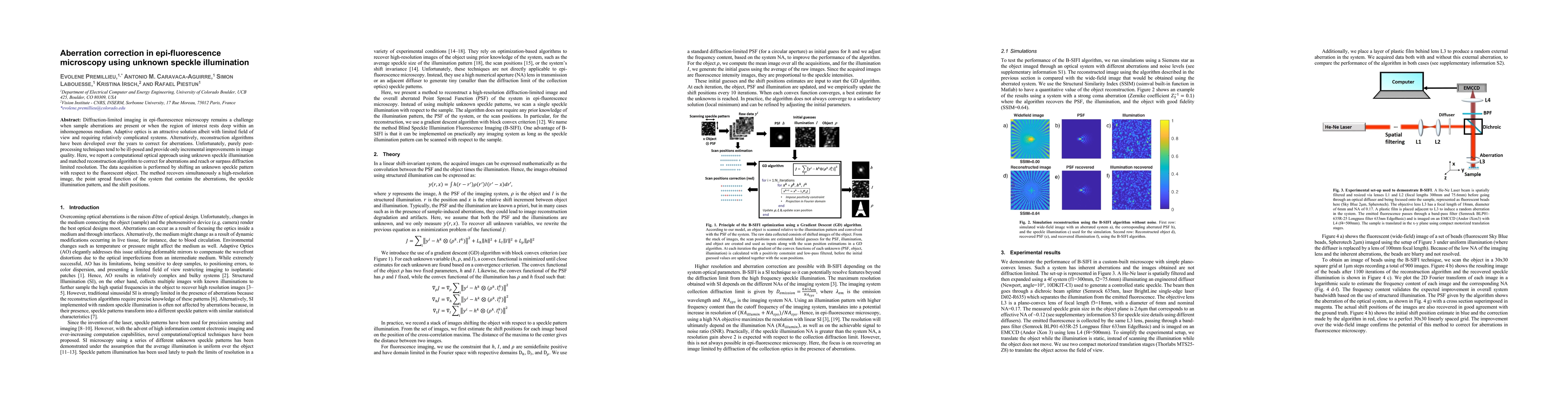 Thumbnail for Aberration correction in epi-fluorescence microscopy using unknown
  speckle illumination