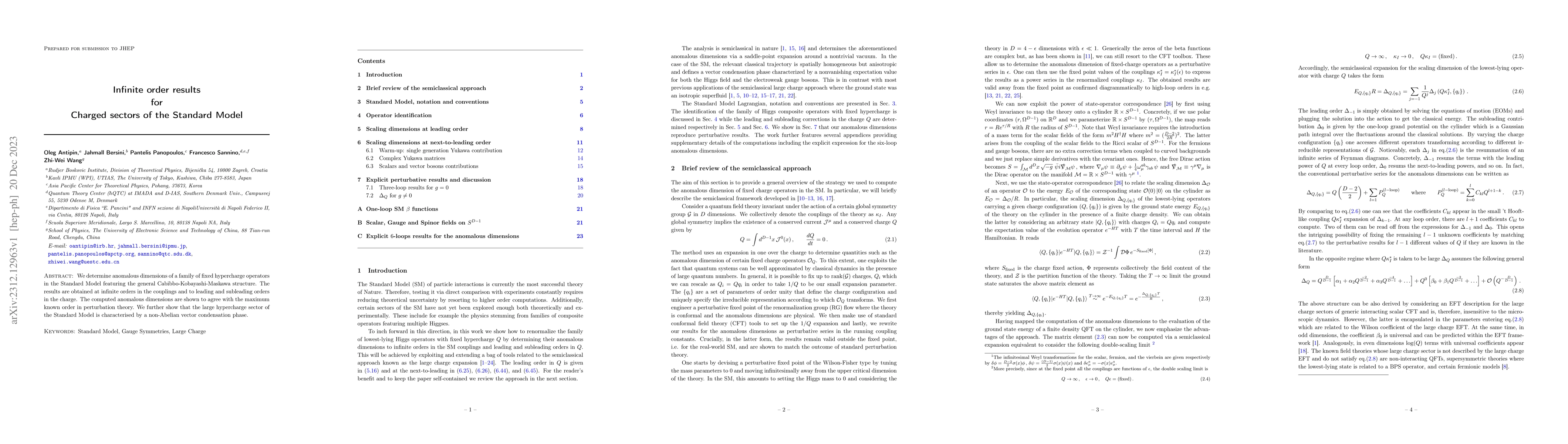 Thumbnail for Infinite order results for charged sectors of the Standard Model