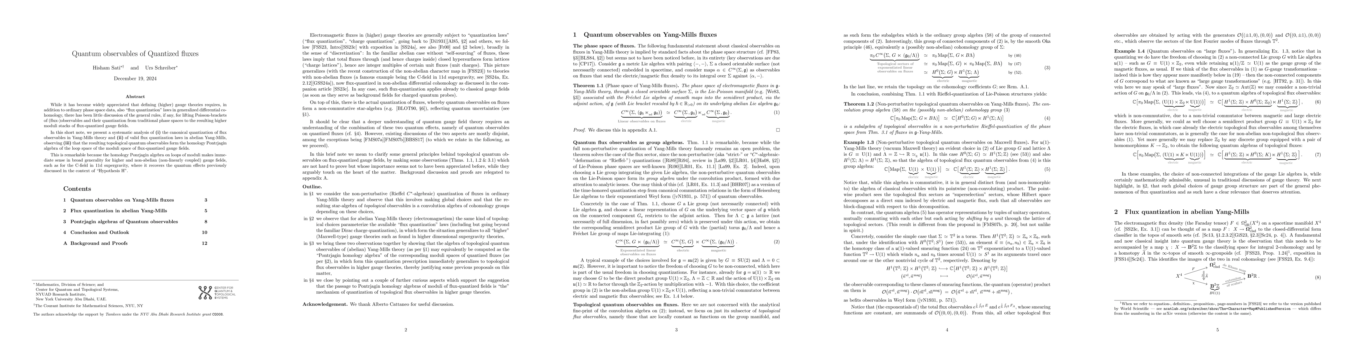 Thumbnail for Quantum Observables of Quantized Fluxes