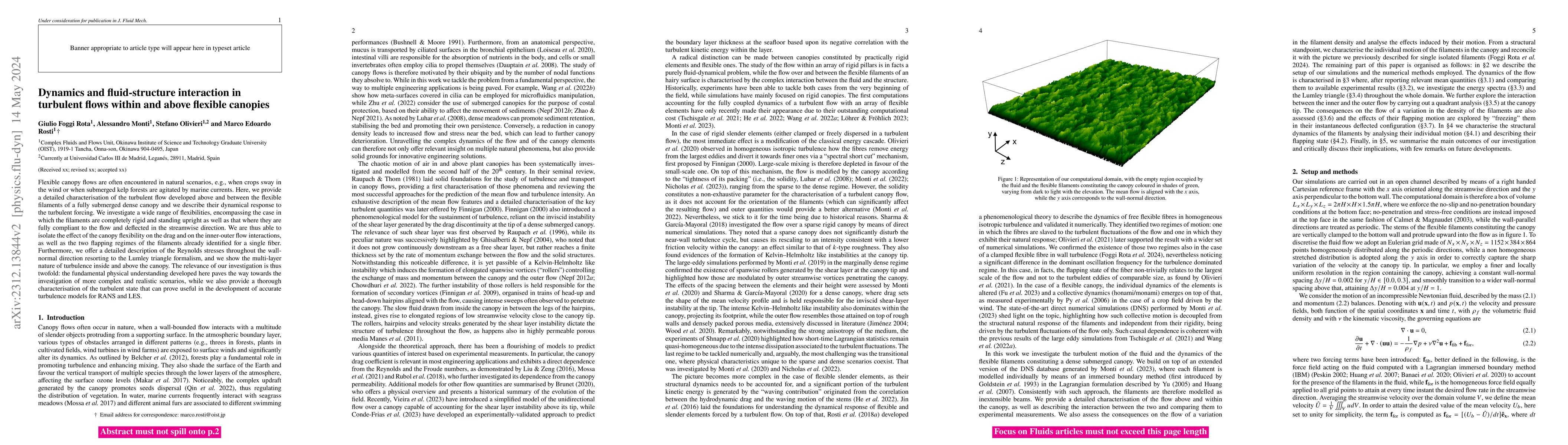 Thumbnail for Dynamics and fluid-structure interaction in turbulent flows within and
  above flexible canopies