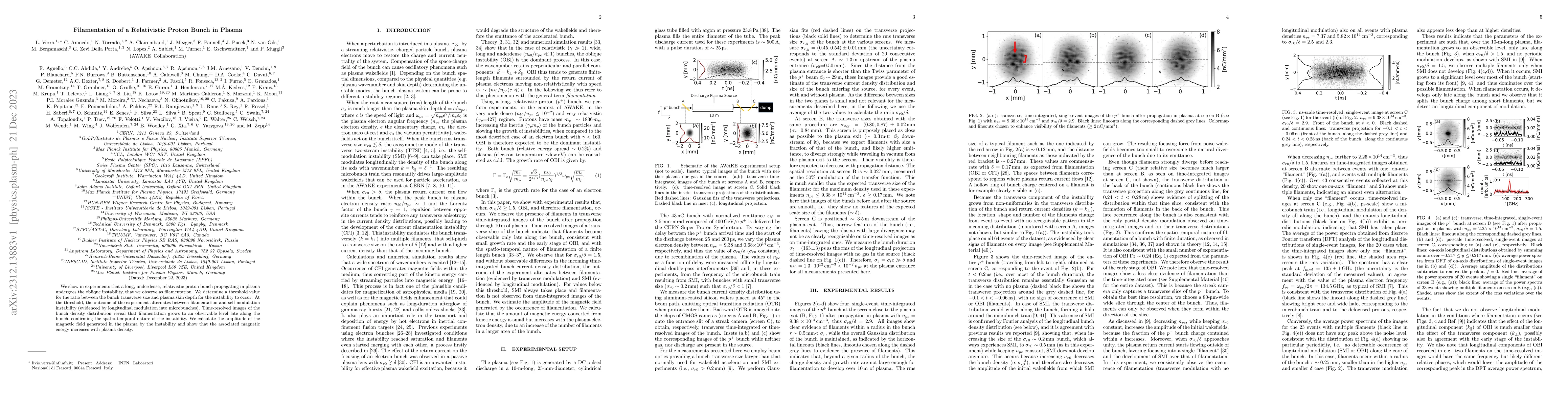 Thumbnail for Filamentation of a Relativistic Proton Bunch in Plasma