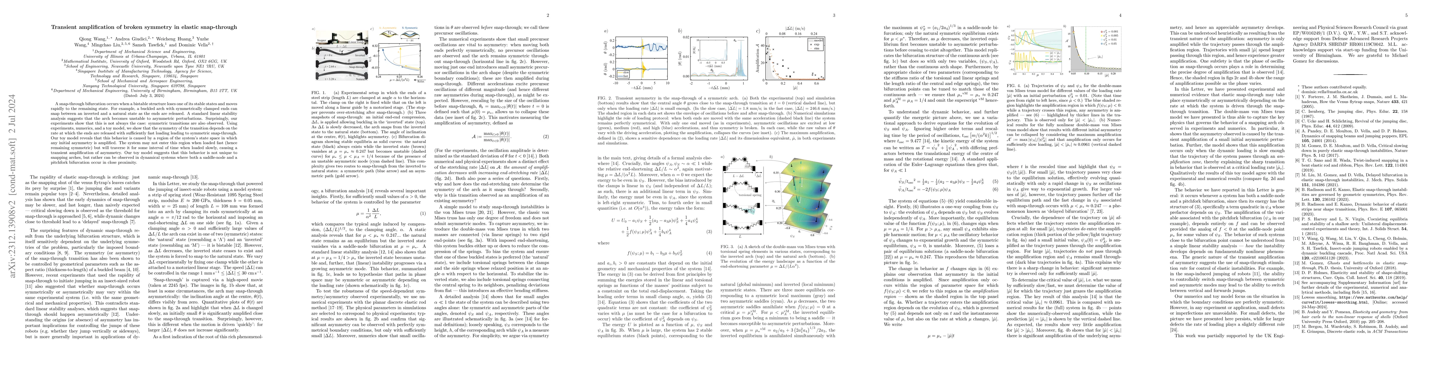 Thumbnail for Transient amplification of broken symmetry in elastic snap-through