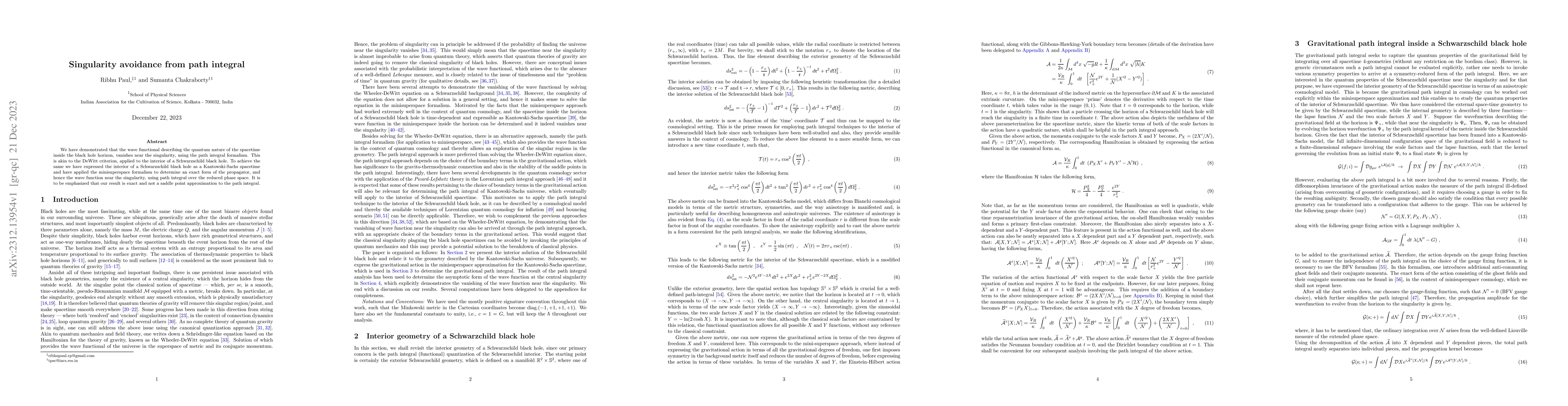 Thumbnail for Singularity avoidance from path integral