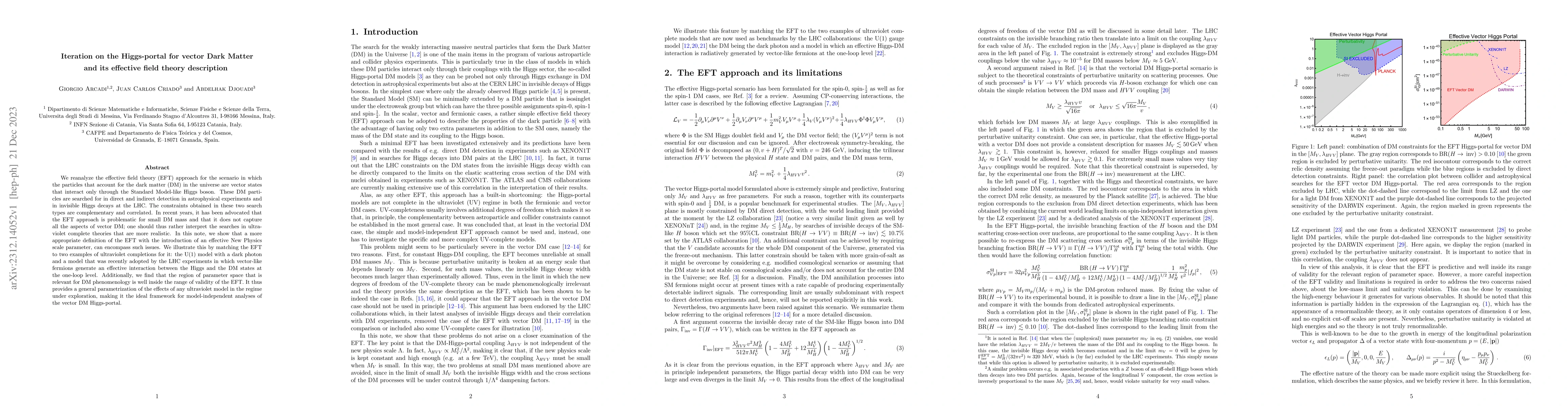 Thumbnail for Iteration on the Higgs-portal for vector Dark Matter and its effective
  field theory description