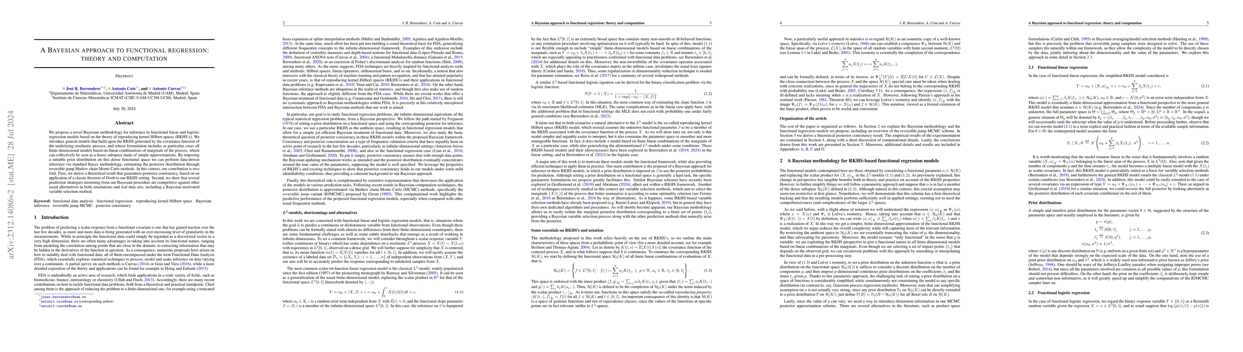 Thumbnail for A Bayesian approach to functional regression: theory and computation
