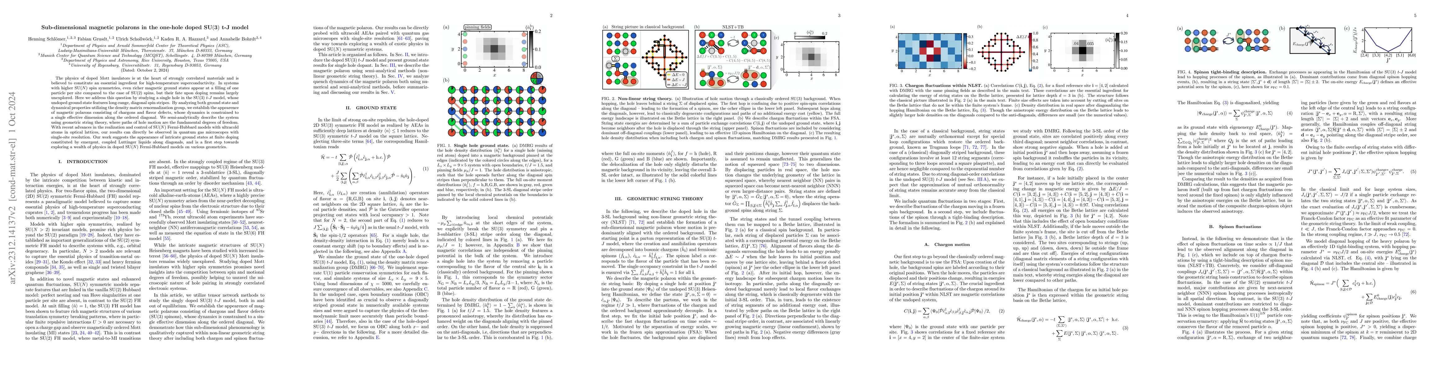 Thumbnail for Sub-dimensional magnetic polarons in the one-hole doped SU(3) $t$-$J$
  model