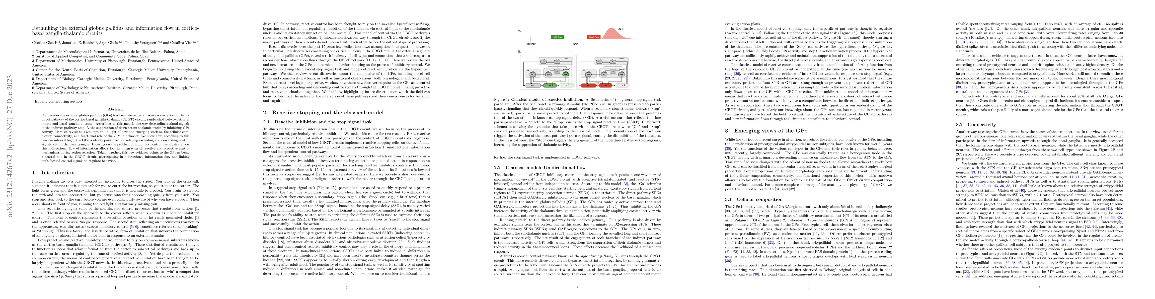 Thumbnail for Rethinking the external globus pallidus and information flow in
  cortico-basal ganglia-thalamic circuits