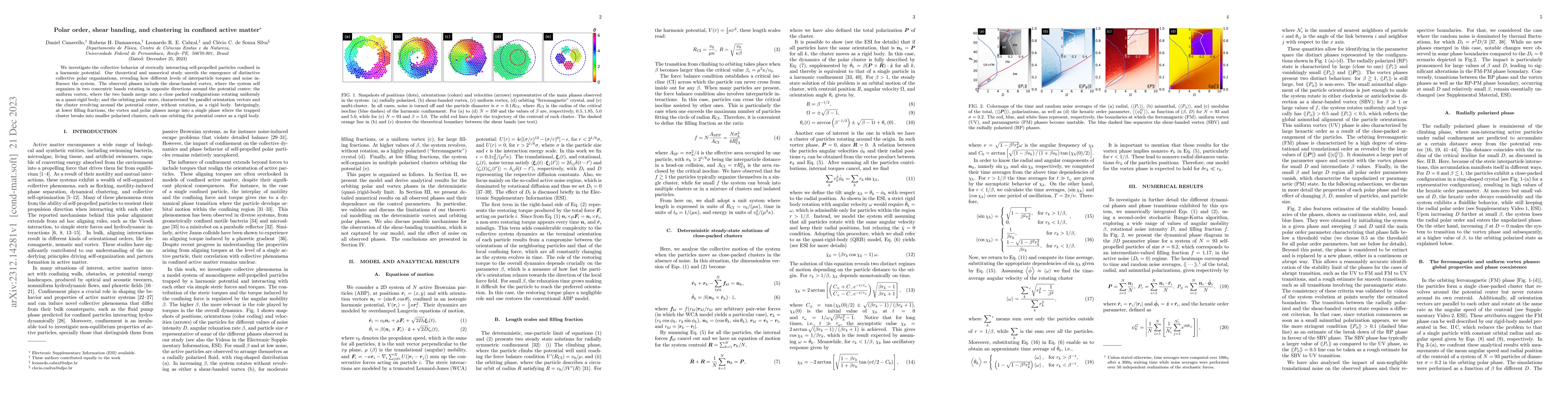 Thumbnail for Polar order, shear banding, and clustering in confined active matter