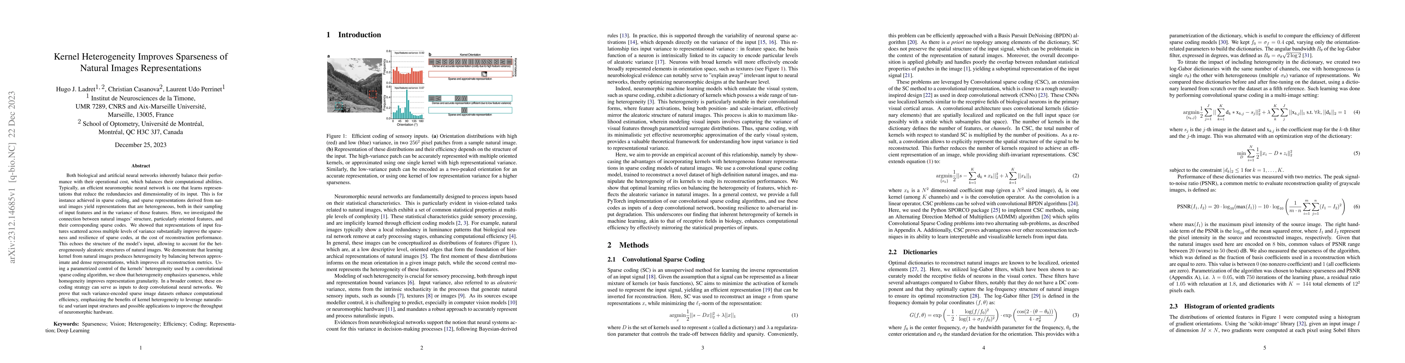 Thumbnail for Kernel Heterogeneity Improves Sparseness of Natural Images
  Representations