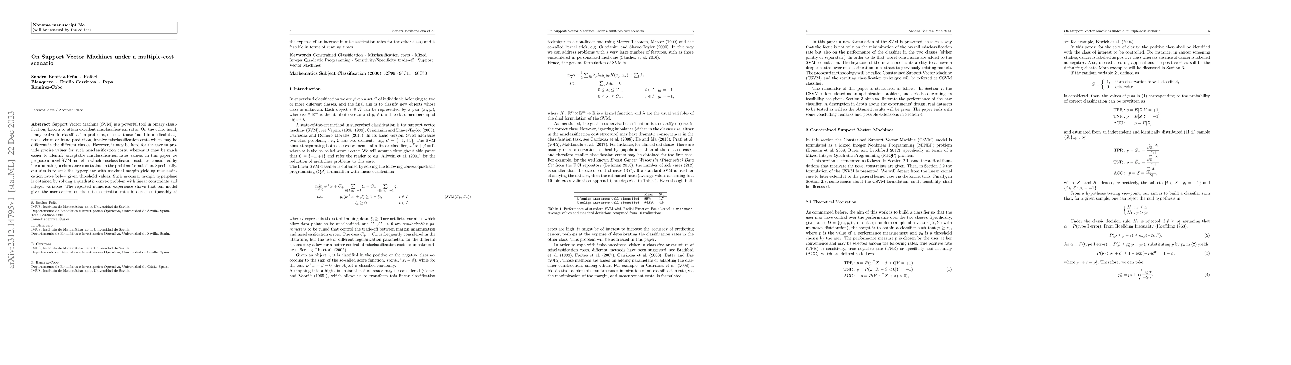 Thumbnail for On support vector machines under a multiple-cost scenario