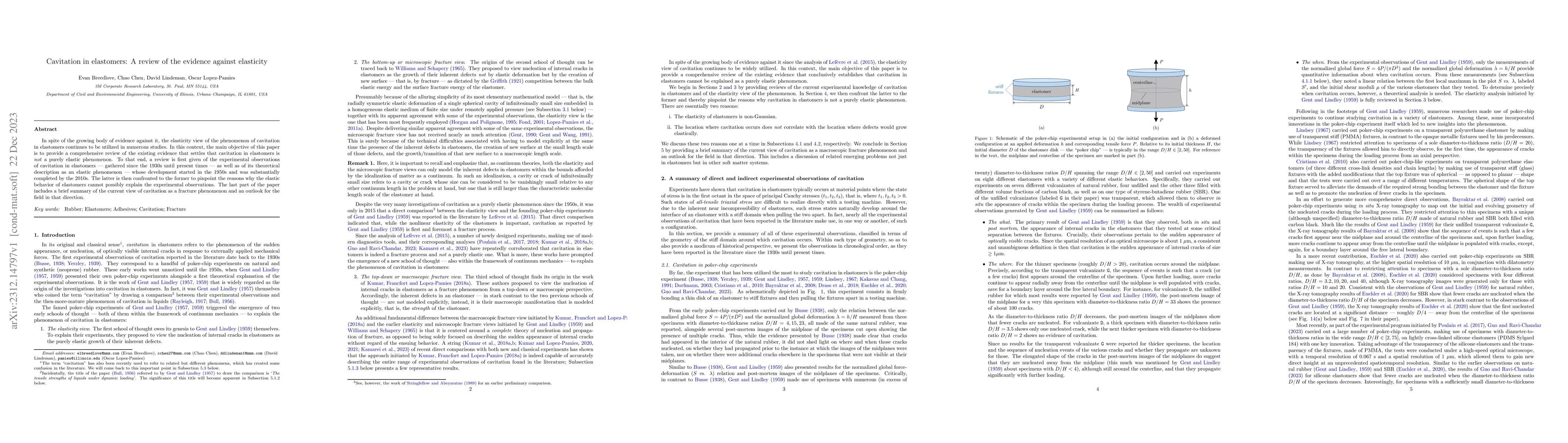 Thumbnail for Cavitation in elastomers: A review of the evidence against elasticity