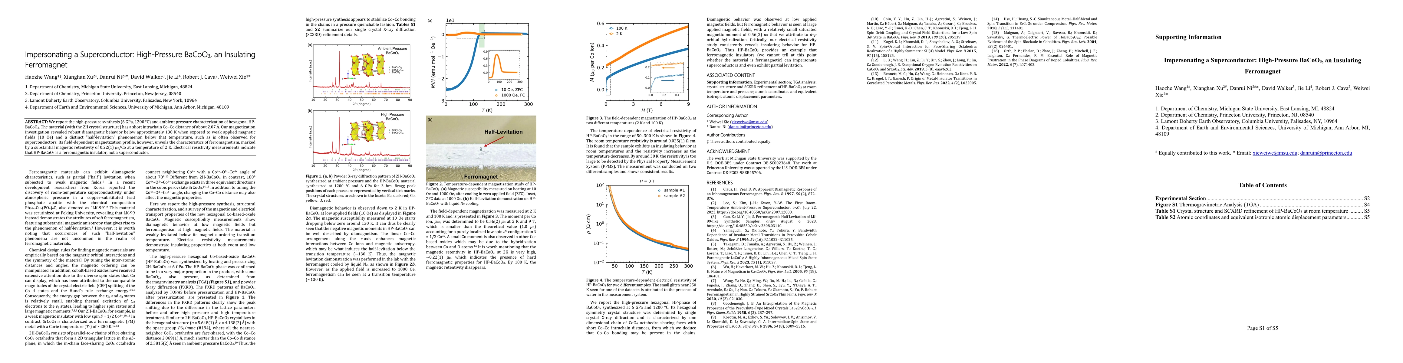 Thumbnail for Impersonating a Superconductor: High-Pressure BaCoO$_3$, an Insulating
  Ferromagnet