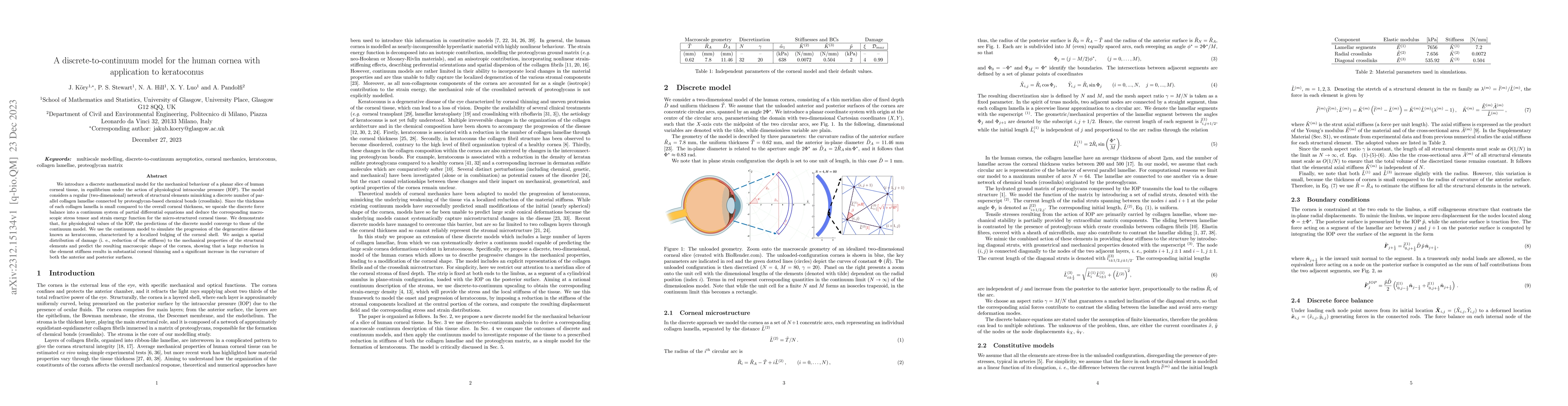Thumbnail for A discrete-to-continuum model for the human cornea with application to
  keratoconus