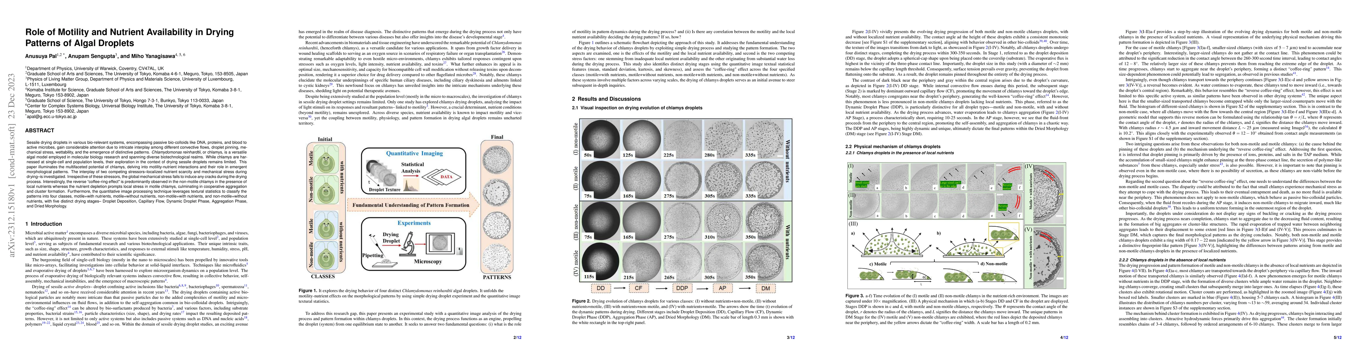 Thumbnail for Role of Motility and Nutrient Availability in Drying Patterns of Algal
  Droplets