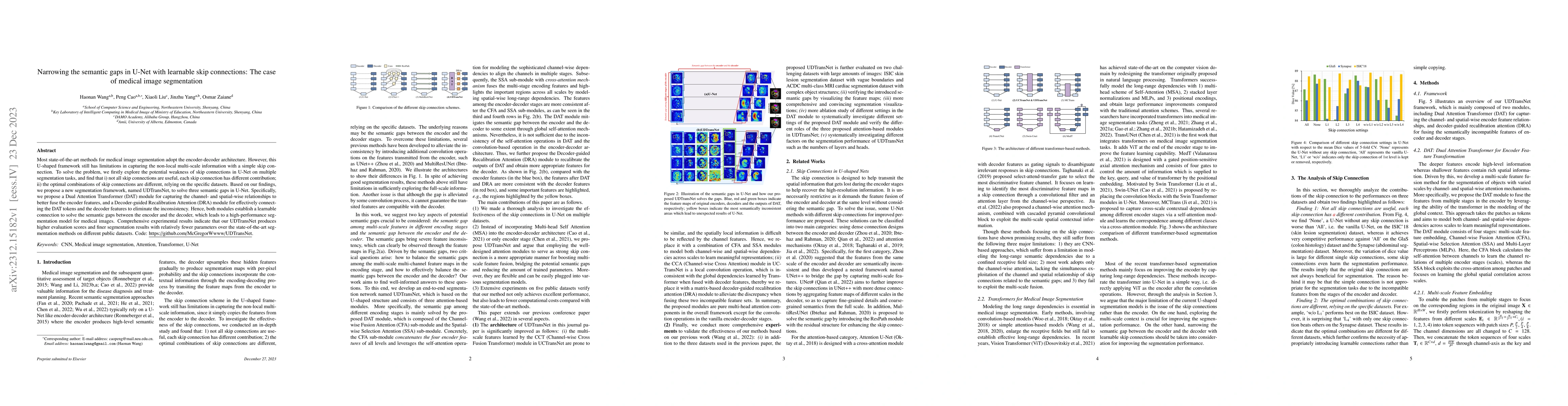Thumbnail for Narrowing the semantic gaps in U-Net with learnable skip connections:
  The case of medical image segmentation