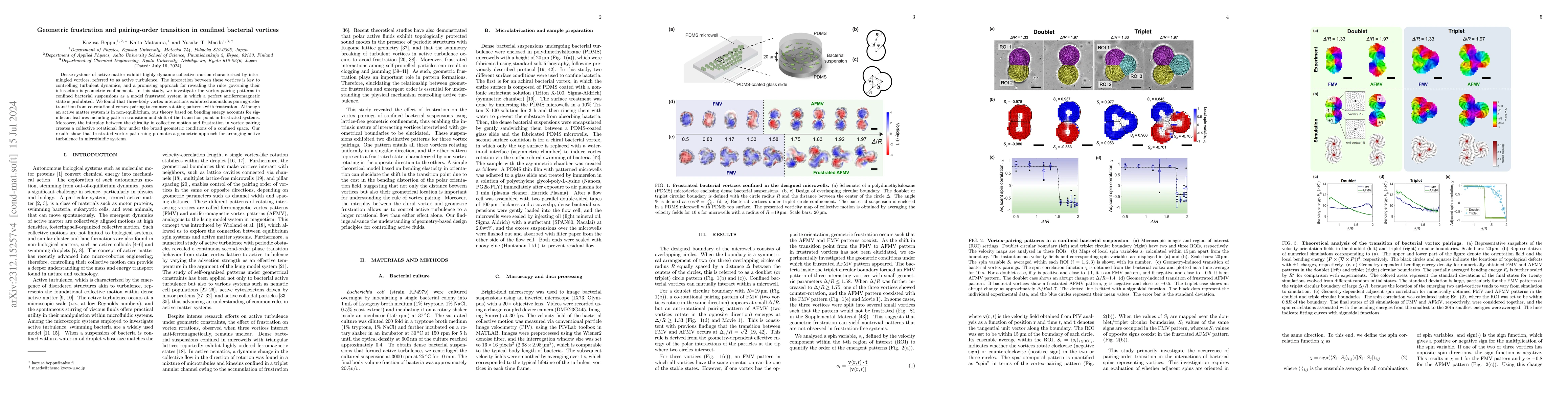 Thumbnail for Geometric frustration and pairing order transition in confined bacterial
  vortices