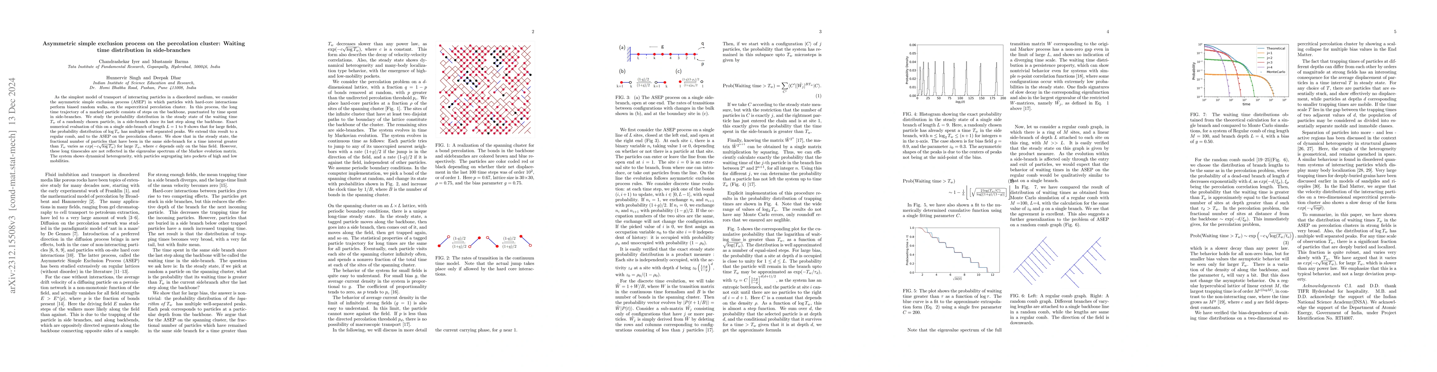Thumbnail for Asymmetric simple exclusion process on the percolation cluster: Waiting
  time distribution in side-branches
