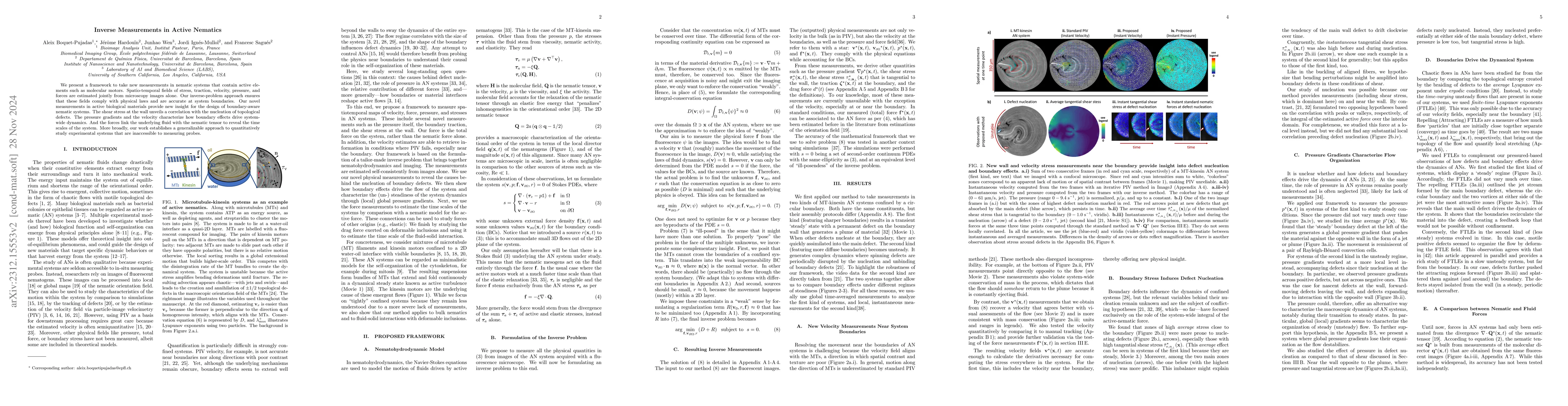 Thumbnail for Inverse Measurements in Active Nematics